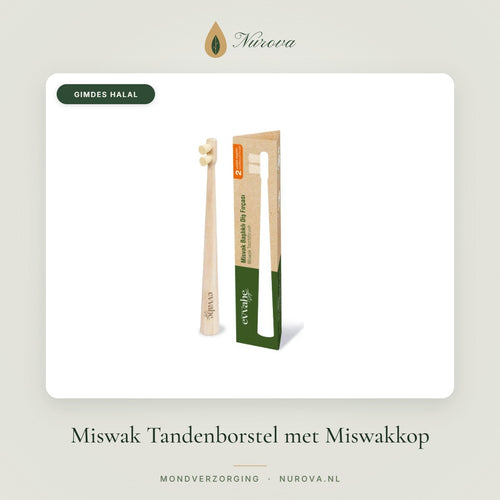Miswak Tandenborstel met Miswakkop