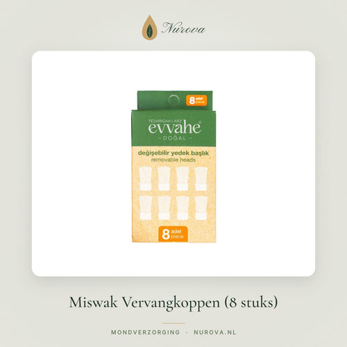 Miswak Vervangkoppen (8 stuks)