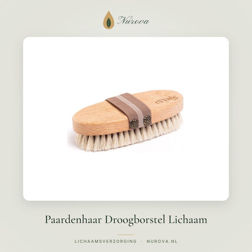 Paardenhaar Droogborstel Lichaam